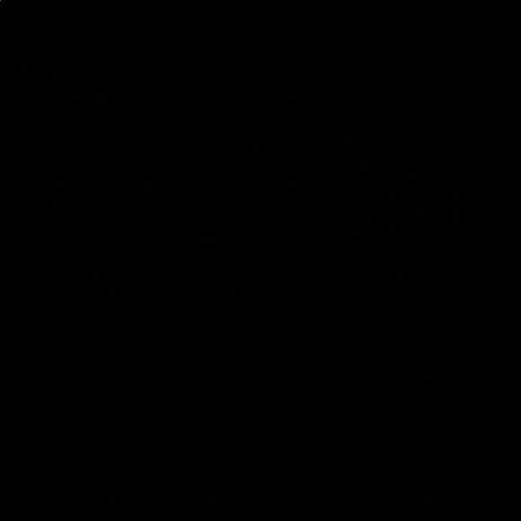 Meet your Posher, Mira - Picture 1 of 1